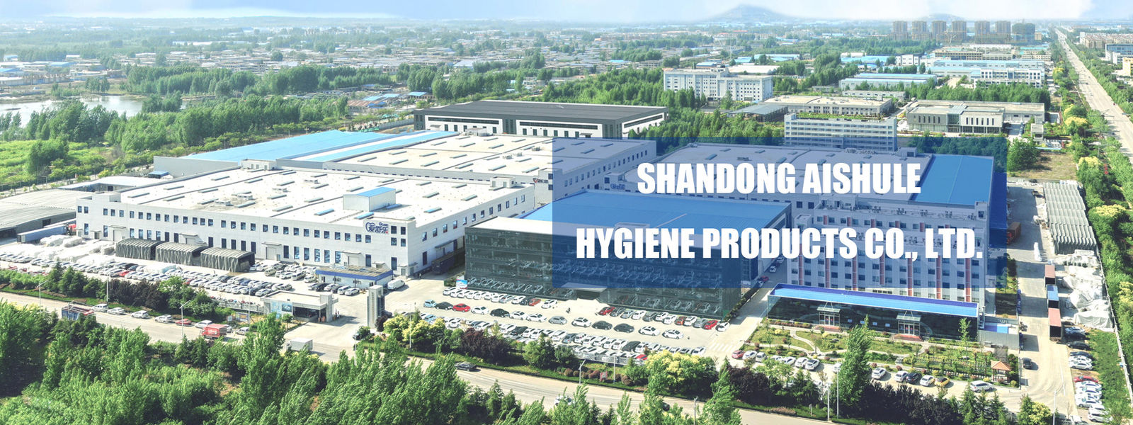 Hygiene Items