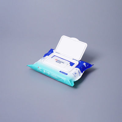 Eco-Friendly Disposable Shoe Cleaning Wipes OEM Quick Cleaning Sneaker Cleaning Wet Wipes