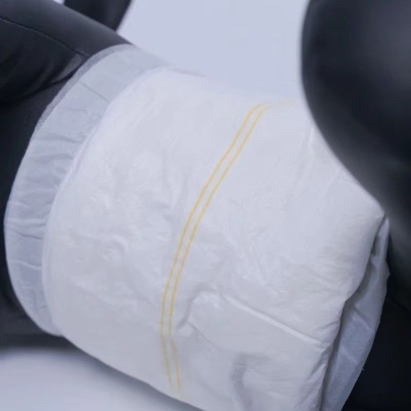 Customizable Disposable Pet Diaper Super Absorbent For Dogs Cats And Puppies