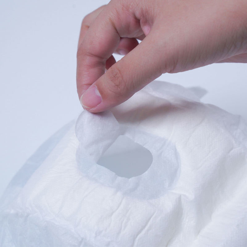 Pet Cat Puppy Training Pants Super Absorbent Disposable Female Dog Diapers