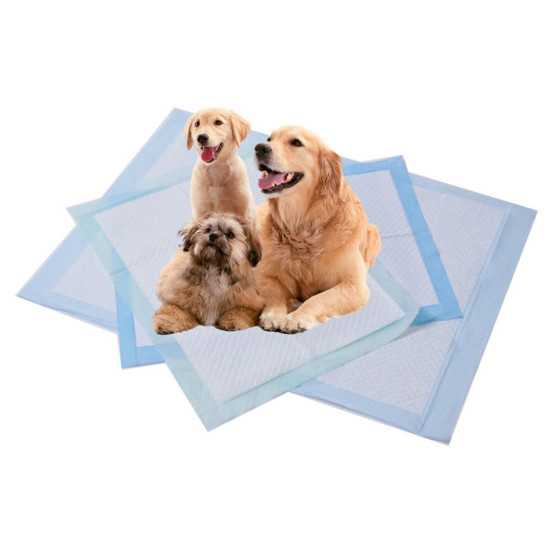 Eco Friendly Pet Training Pads High Absorbency Extra Large Absorbent Pads For Dogs
