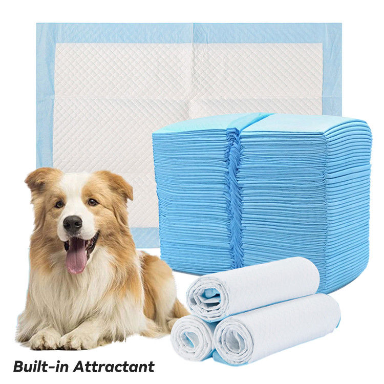 Disposable Pet Dog and Puppy Pee Pads for Potty Training