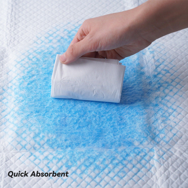 Disposable Pet Dog and Puppy Pee Pads for Potty Training