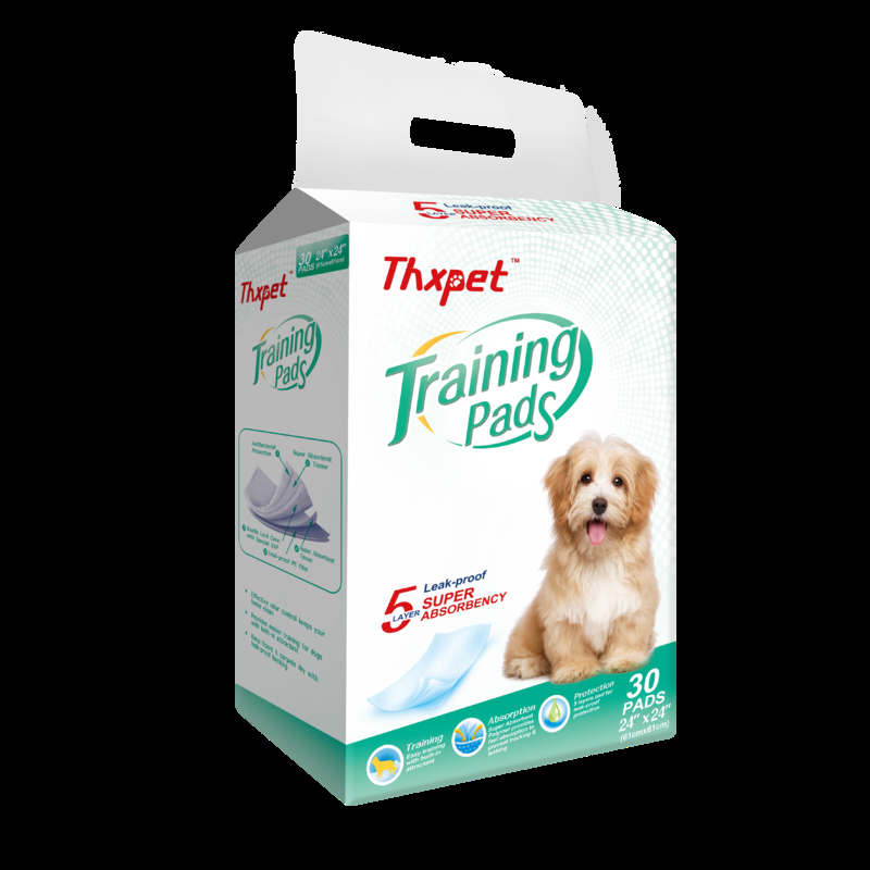 Effective Absorption Pet Training Pads for Healthy Growth of Small and Large Pets