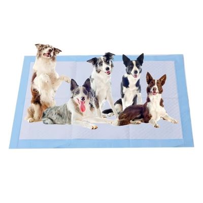 5 Layer Leak Proof Puppy Toilet Training Pad Super Absorbent Pee Mats For Cats Dogs