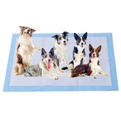 Super Absorbent Pet Training Pads 45x33cm 45x60cm 60x60cm 60x90cm Puppy Training Mats